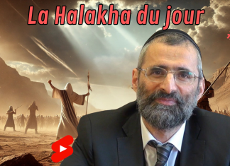 Sens profond de la Parasha Zakhor (1ère partie)