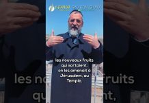 Un flux extraordinaire