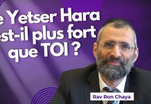 Le Yetser Hara est-il plus fort que TOI ? 💪