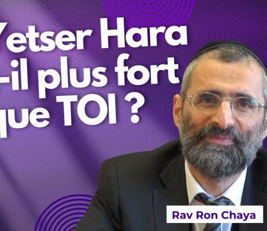 Le Yetser Hara est-il plus fort que TOI ? 💪