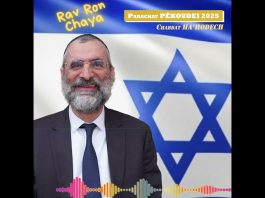🕯️🍷🥖 Chabbat Parachat PÉKOUDEI – HA’HODECH 2025 – message du Rav Ron Chaya