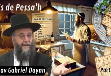 Lois de Pessa’h : ce qu’il faut savoir… et éviter ! (P1)