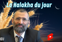 Quelle est réellement la mitsva du Omer ? #HDJ