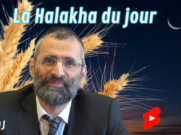 Quelle est réellement la mitsva du Omer ? #HDJ
