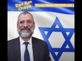 🕯️🍷🥖 Chabbat Parachat TAZRIA – METSORA 2025 – message du Rav Ron Chaya 2025