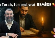 La Torah, ton seul vrai remède 💊 – 87 – LIVRE NÉFECH HA’HAIM