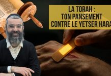La Torah : TON pansement 🩹 contre le Yetser Hara – 88 – LIVRE NÉFECH HA’HAIM