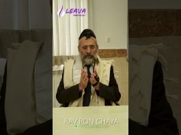 Le voyageur pendant Yom Tov (Partie 1) – #HDJ