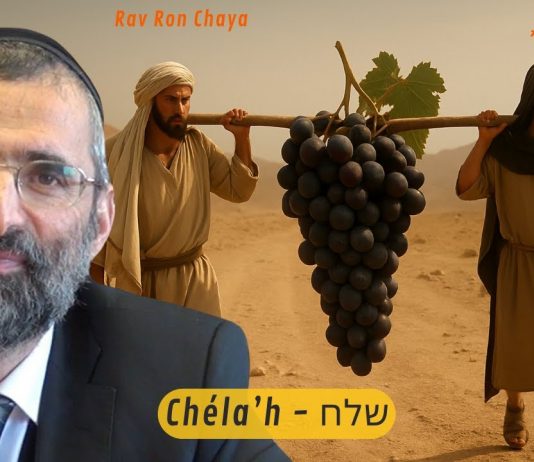 40 jours d’exploration… UN SEUL explorateur béni par Moché ? #LJDLP