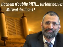 🌿🐝 Hachem n’oublie RIEN… surtout pas les Mitsvot du désert ! (C11) #TDRMC