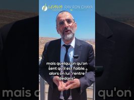 Le GRAND flux de bonheur !