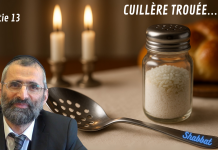 🕯️ Shabbat : CUILLÈRE TROUÉE… une transgression ? 🕯️(P13)