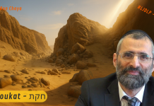 Les rois ÉCRASÉS par D.IEU dans le désert ! – #LJDLP