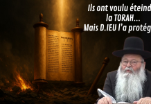 📜 Ils ont voulu éteindre la TORAH… mais D.IEU l’a protégée !
