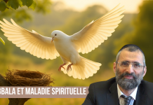 🌿🐝 KABBALA et maladie SPIRITUELLE – (C22) #TDRMC