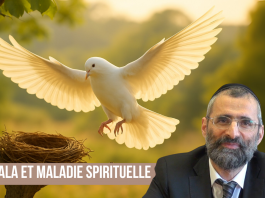 🌿🐝 KABBALA et maladie SPIRITUELLE – (C22) #TDRMC