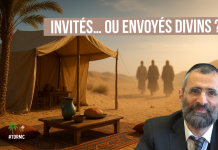 🌿🐝 INVITÉS… ou envoyés DIVINS ? – (C23) #TDRMC