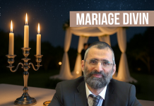 🌿🐝 Mariage DIVIN 💖 – (C24) #TDRMC