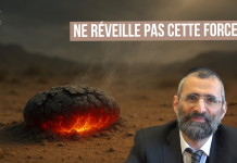 🌿🐝 NE RÉVEILLE PAS cette FORCE… – (C25) #TDRMC