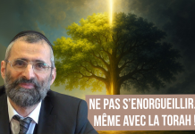 🌿🐝 Ne PAS s’enorgueillir… même avec la TORAH ! – (C26) #TDRMC