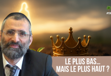 🌿🐝 Le PLUS BAS… mais le PLUS HAUT ? – (C27) #TDRMC