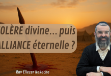 COLÈRE divine… puis ALLIANCE éternelle ?