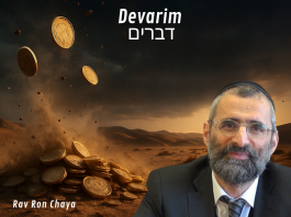 💶 L’ARGENT : ce faux dieu qui TE POSSÈDE ?! #LJDLP