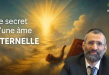 🌿🐝 Le secret d’une âme ÉTERNELLE ✡️ – (C17) #TDRMC