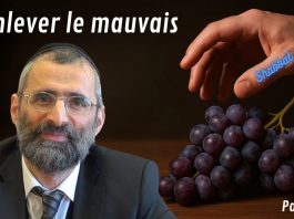 🕯️ Shabbat : Enlever le MAUVAIS : est-ce totalement INTERDIT ? 🕯️(P12)
