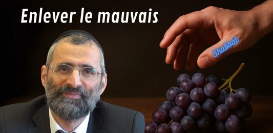 🕯️ Shabbat : Enlever le MAUVAIS : est-ce totalement INTERDIT ? 🕯️(P12)