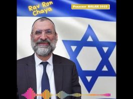 🕯️🍷🥖 Chabbat Parachat BALAK 2025 – message du Rav Ron Chaya