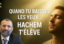 🌿🐝 Quand tu BAISSES les YEUX… Hachem T’ÉLÈVE – (C20) #TDRMC