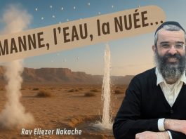 LA MANNE, l’EAU, la NUÉE… et TOI ? – 94 – LIVRE NÉFECH HA’HAIM