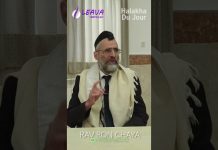 Nourrir ton animal ! – #HDJ