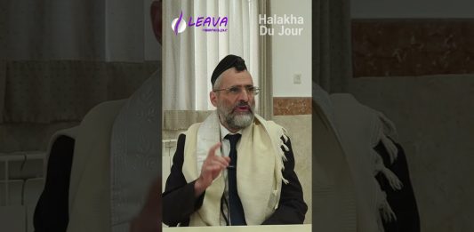 Nourrir ton animal ! – #HDJ