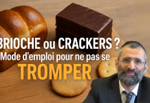BRIOCHE ou CRACKERS ? Mode d’emploi pour ne pas se TROMPER