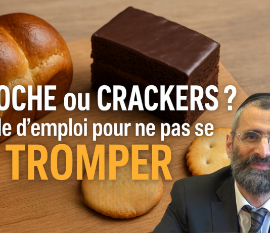 BRIOCHE ou CRACKERS ? Mode d’emploi pour ne pas se TROMPER