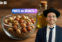FRUITS ou DÉCHETS ? – (C05 #BRKH)