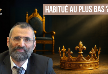 🌿🐝 HABITUÉ au PLUS BAS ? – (C29) #TDRMC