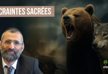 🌿🐝 CRAINTES SACRÉES – (C30) #TDRMC