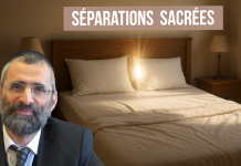🌿🐝 SÉPARATION SACRÉE – (C31) #TDRMC