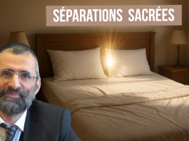 🌿🐝 SÉPARATION SACRÉE – (C31) #TDRMC