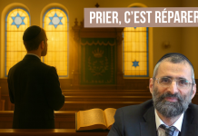 🌿🐝 PRIER, c’est RÉPARER – (C33) #TDRMC