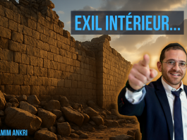 TISHA BÉAV samedi soir ? mode d’emploi ! (Partie 2)