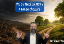 VIE ou MALÉDICTION ? A toi de choisir !