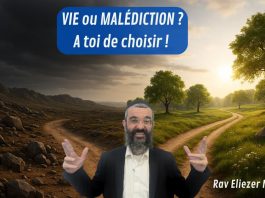VIE ou MALÉDICTION ? A toi de choisir !