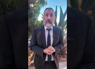 Birkat HaLévana après Tisha BéAv ??? – #HDJ