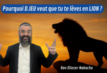 Pourquoi D.IEU veut que tu te lèves en LION ?