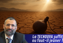 La TECHOUVA suffit ou faut-il jeûner ?