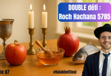 DOUBLE défi : Roch Hachana 5785 – #HalakhotEloul P07